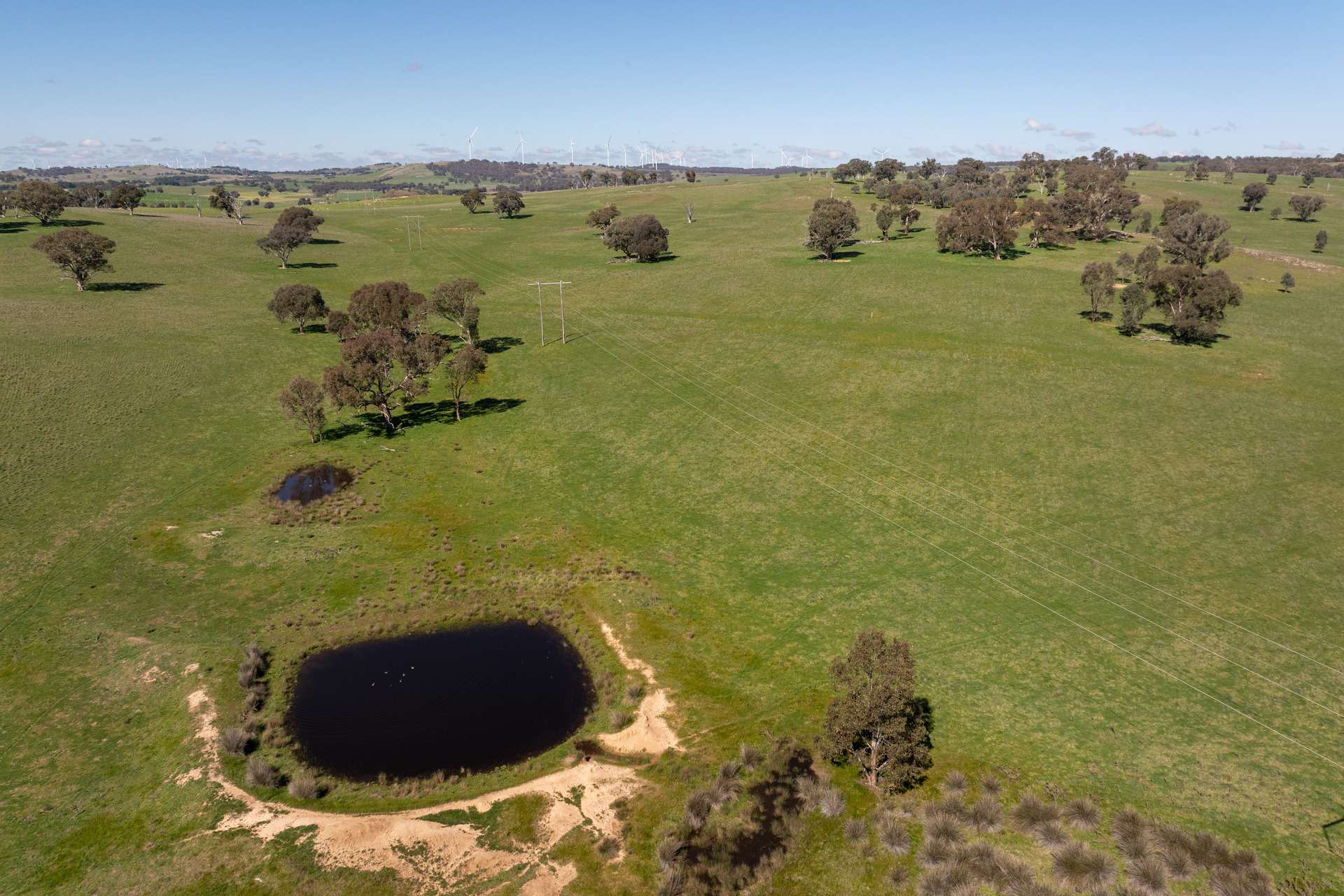 264 Harrys Creek Road, Boorowa For Sale by Farmbuy.com - image 21