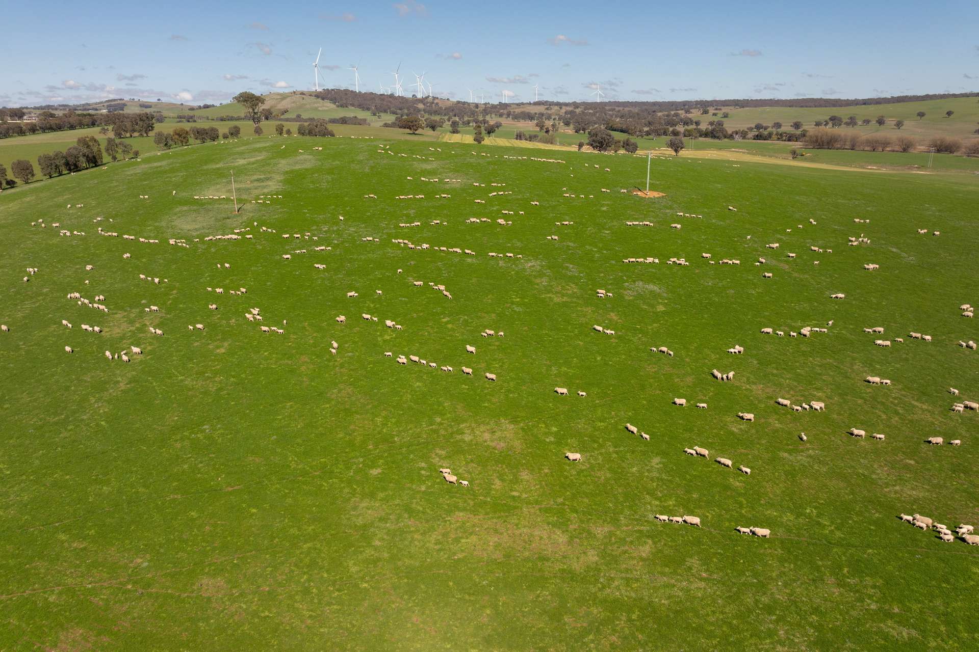 264 Harrys Creek Road, Boorowa For Sale by Farmbuy.com - image 25