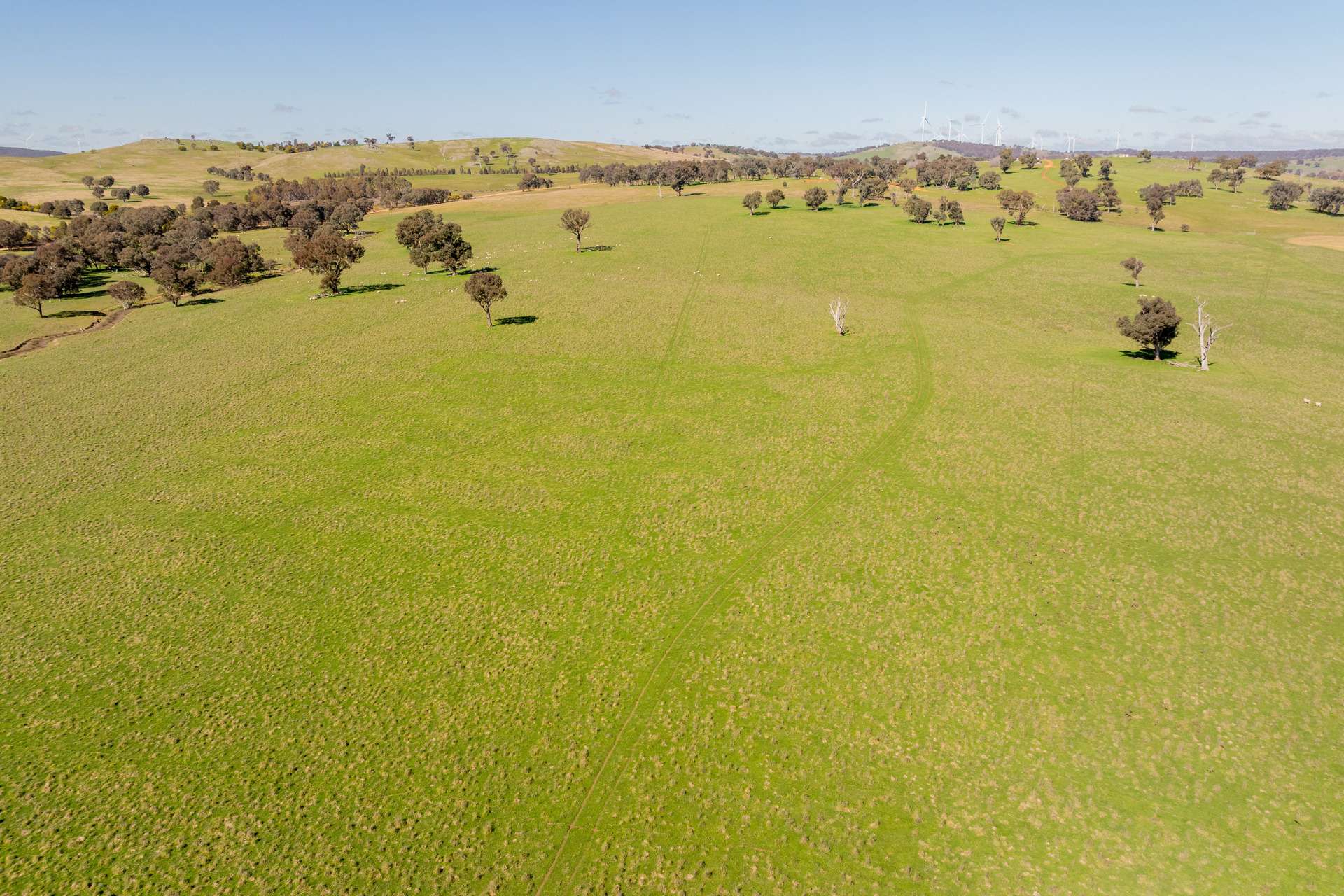 264 Harrys Creek Road, Boorowa For Sale by Farmbuy.com - image 16