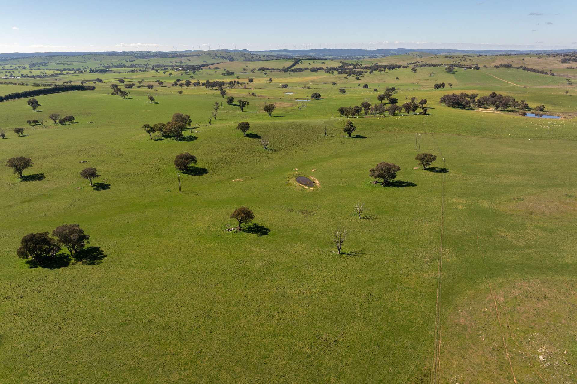 264 Harrys Creek Road, Boorowa For Sale by Farmbuy.com - image 22