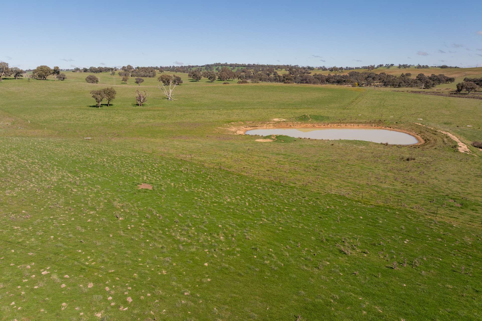 264 Harrys Creek Road, Boorowa For Sale by Farmbuy.com - image 18