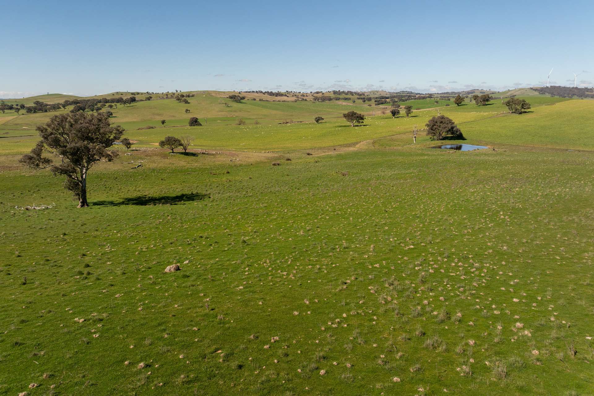 264 Harrys Creek Road, Boorowa For Sale by Farmbuy.com - image 20