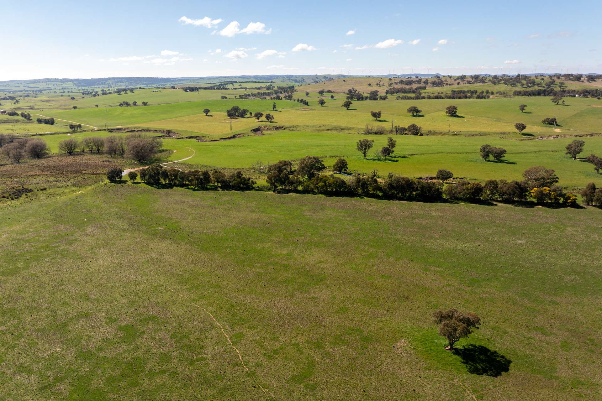 264 Harrys Creek Road, Boorowa For Sale by Farmbuy.com - image 26