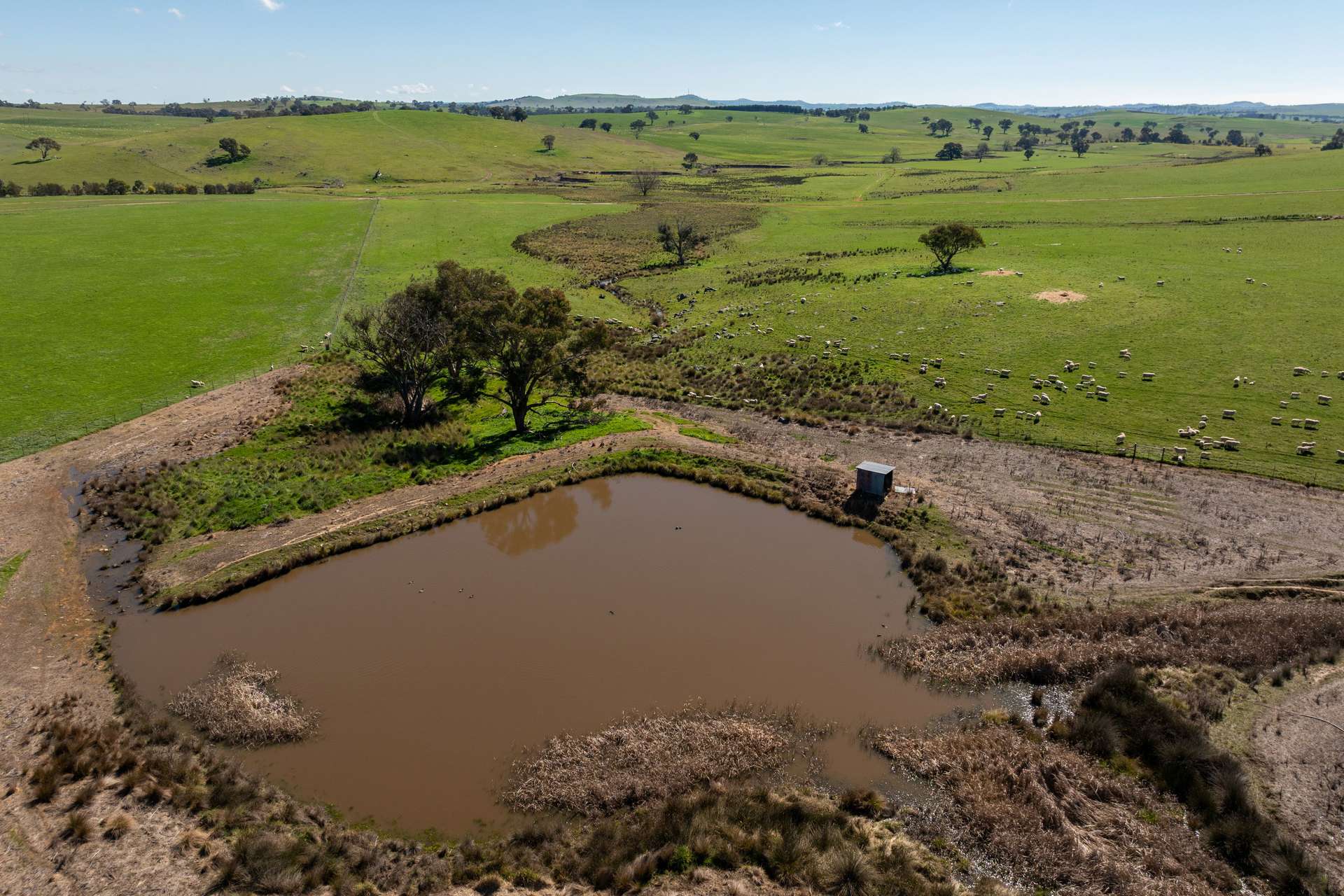 264 Harrys Creek Road, Boorowa For Sale by Farmbuy.com - image 24