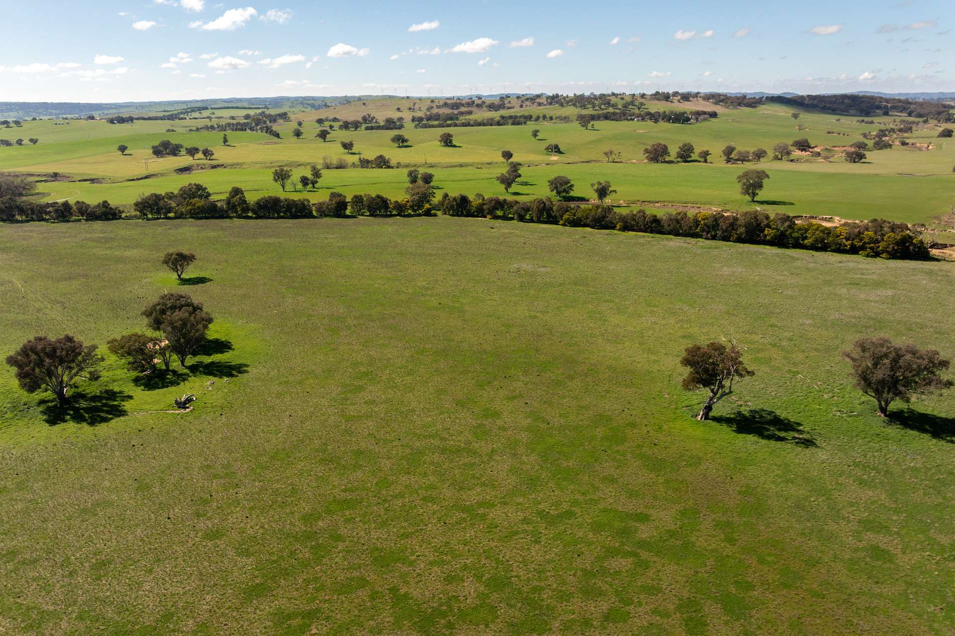 264 Harrys Creek Road, Boorowa For Sale by Farmbuy.com - image 27