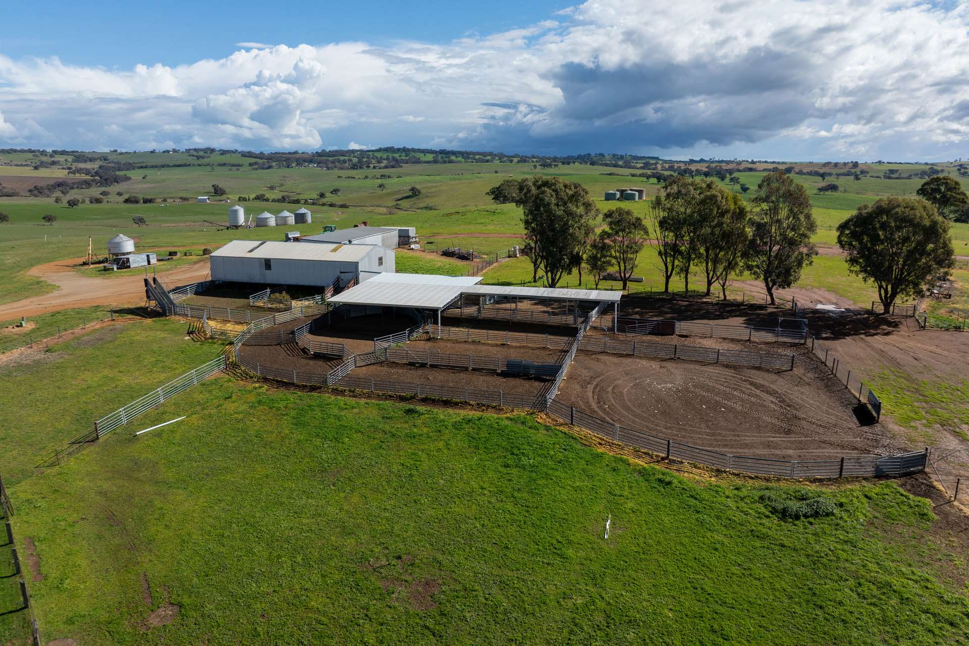 264 Harrys Creek Road, Boorowa For Sale by Farmbuy.com - image 7