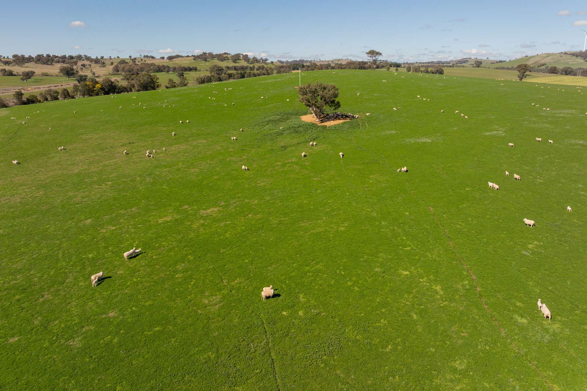264 Harrys Creek Road, Boorowa For Sale by Farmbuy.com - image 23