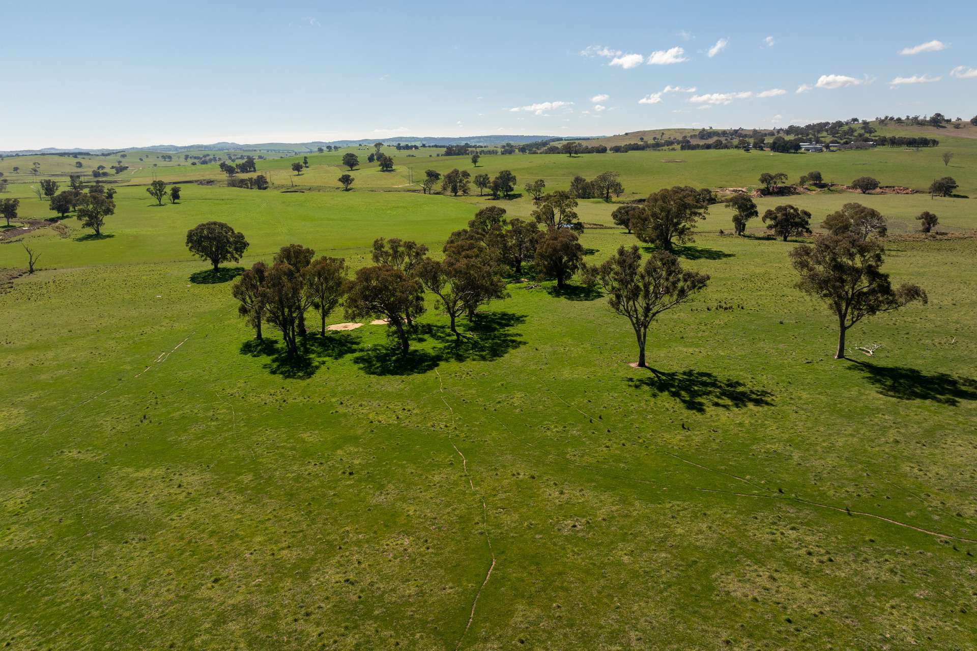 264 Harrys Creek Road, Boorowa For Sale by Farmbuy.com - image 2