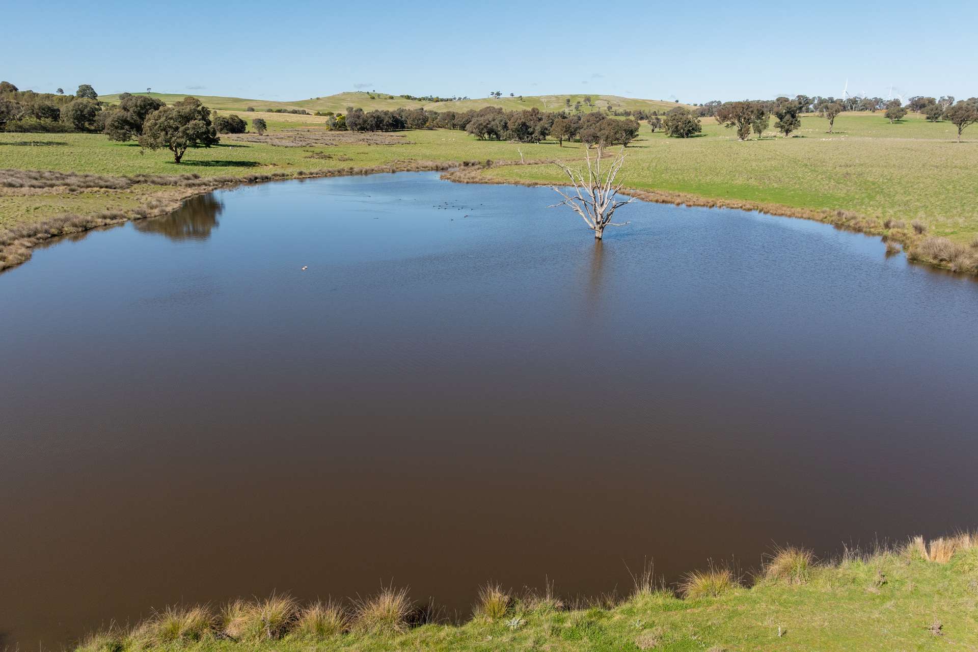 264 Harrys Creek Road, Boorowa For Sale by Farmbuy.com - image 29