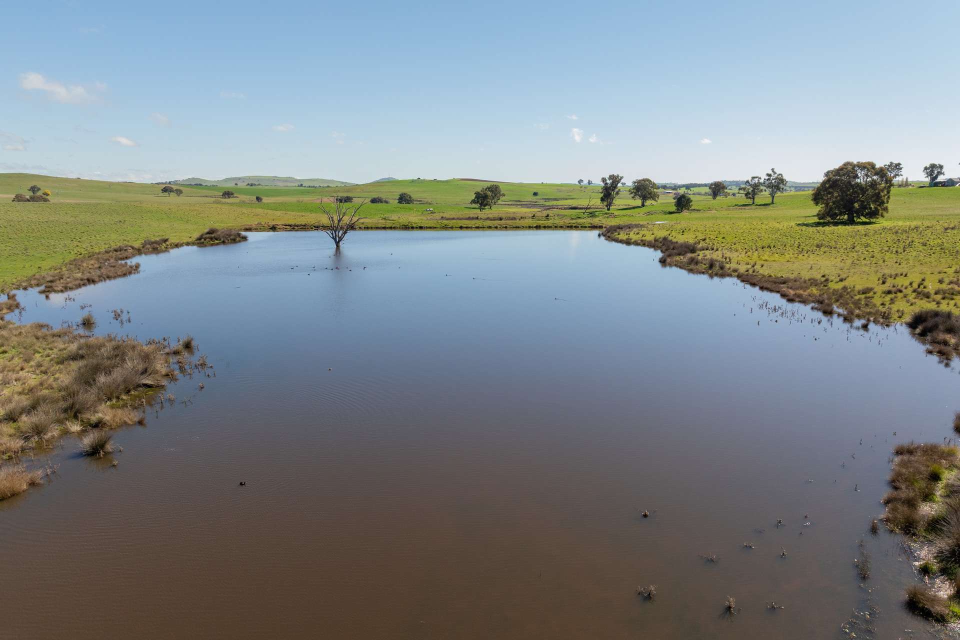 264 Harrys Creek Road, Boorowa For Sale by Farmbuy.com - image 4