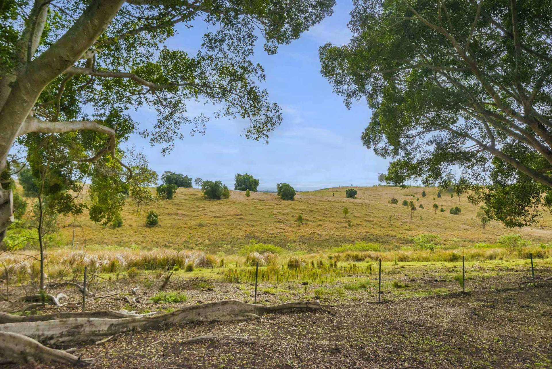640 Old Dyraaba Road, Woodview For Sale by Farmbuy.com - image 33
