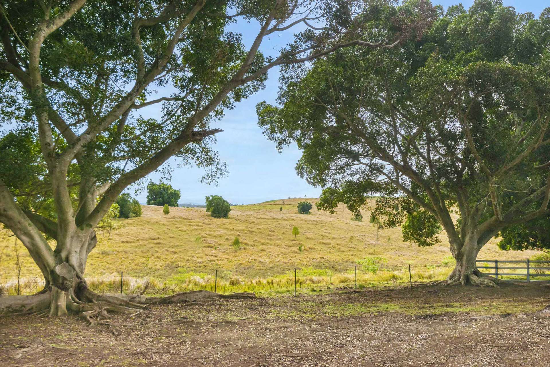 640 Old Dyraaba Road, Woodview For Sale by Farmbuy.com - image 32