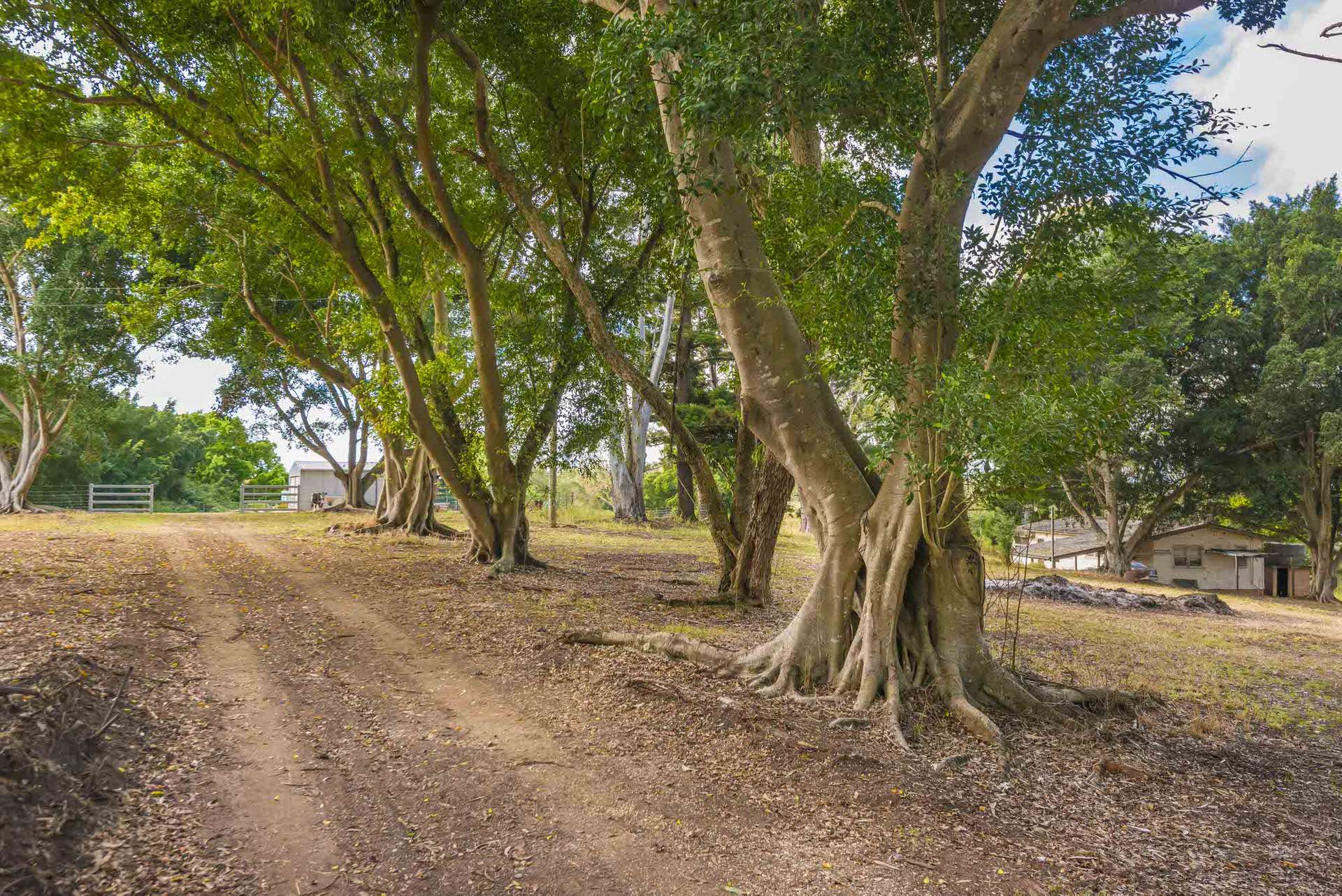 640 Old Dyraaba Road, Woodview For Sale by Farmbuy.com - image 27
