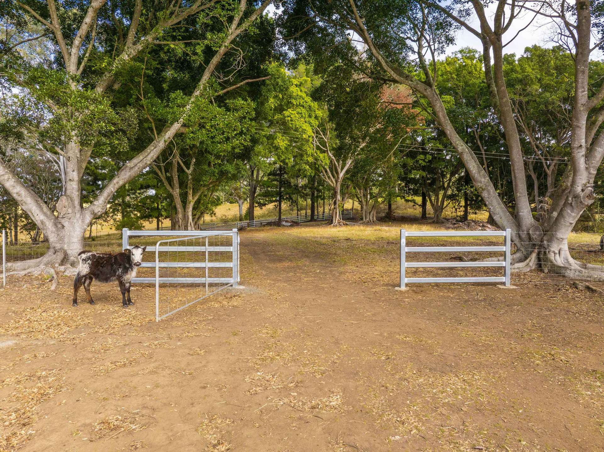 640 Old Dyraaba Road, Woodview For Sale by Farmbuy.com - image 19