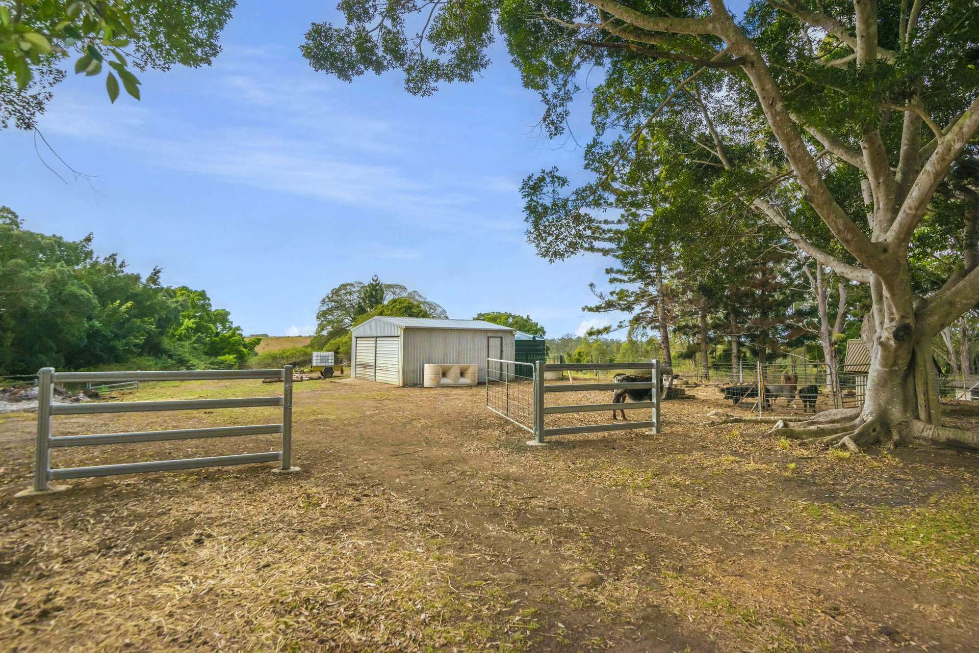 640 Old Dyraaba Road, Woodview For Sale by Farmbuy.com - image 29