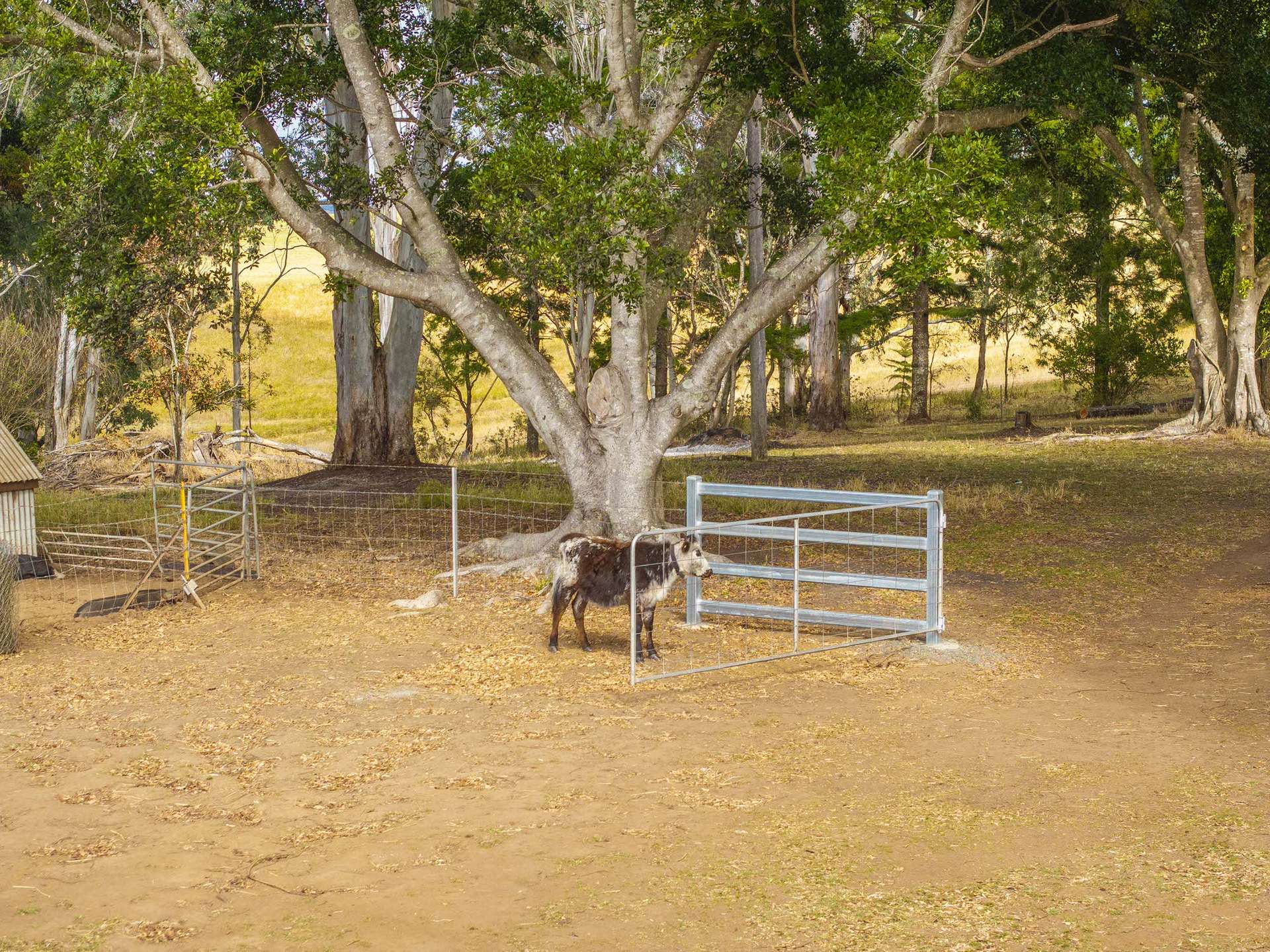 640 Old Dyraaba Road, Woodview For Sale by Farmbuy.com - image 13
