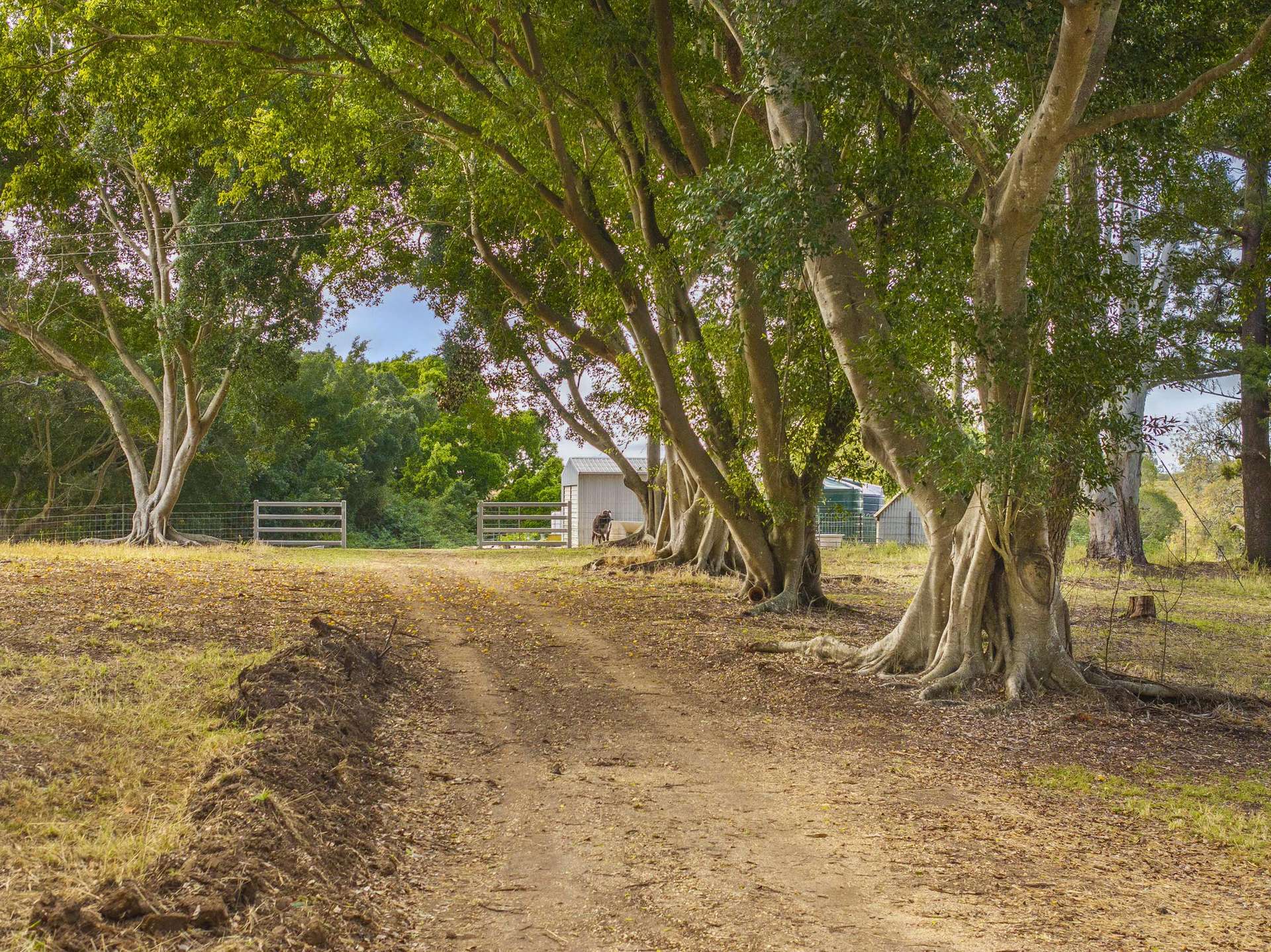 640 Old Dyraaba Road, Woodview For Sale by Farmbuy.com - image 24