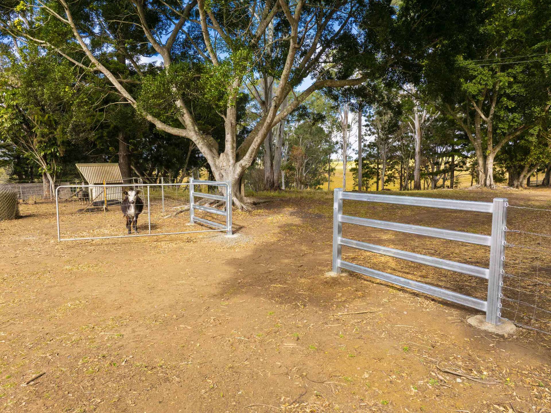 640 Old Dyraaba Road, Woodview For Sale by Farmbuy.com - image 16
