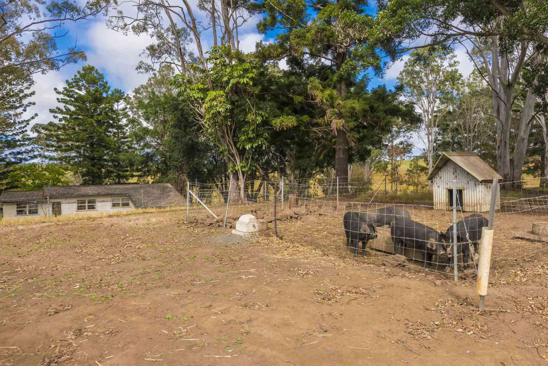 640 Old Dyraaba Road, Woodview For Sale by Farmbuy.com - image 35