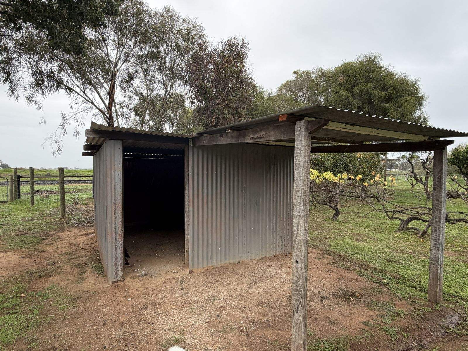 6085 Wakool Road, Wakool For Sale by Farmbuy.com - image 32