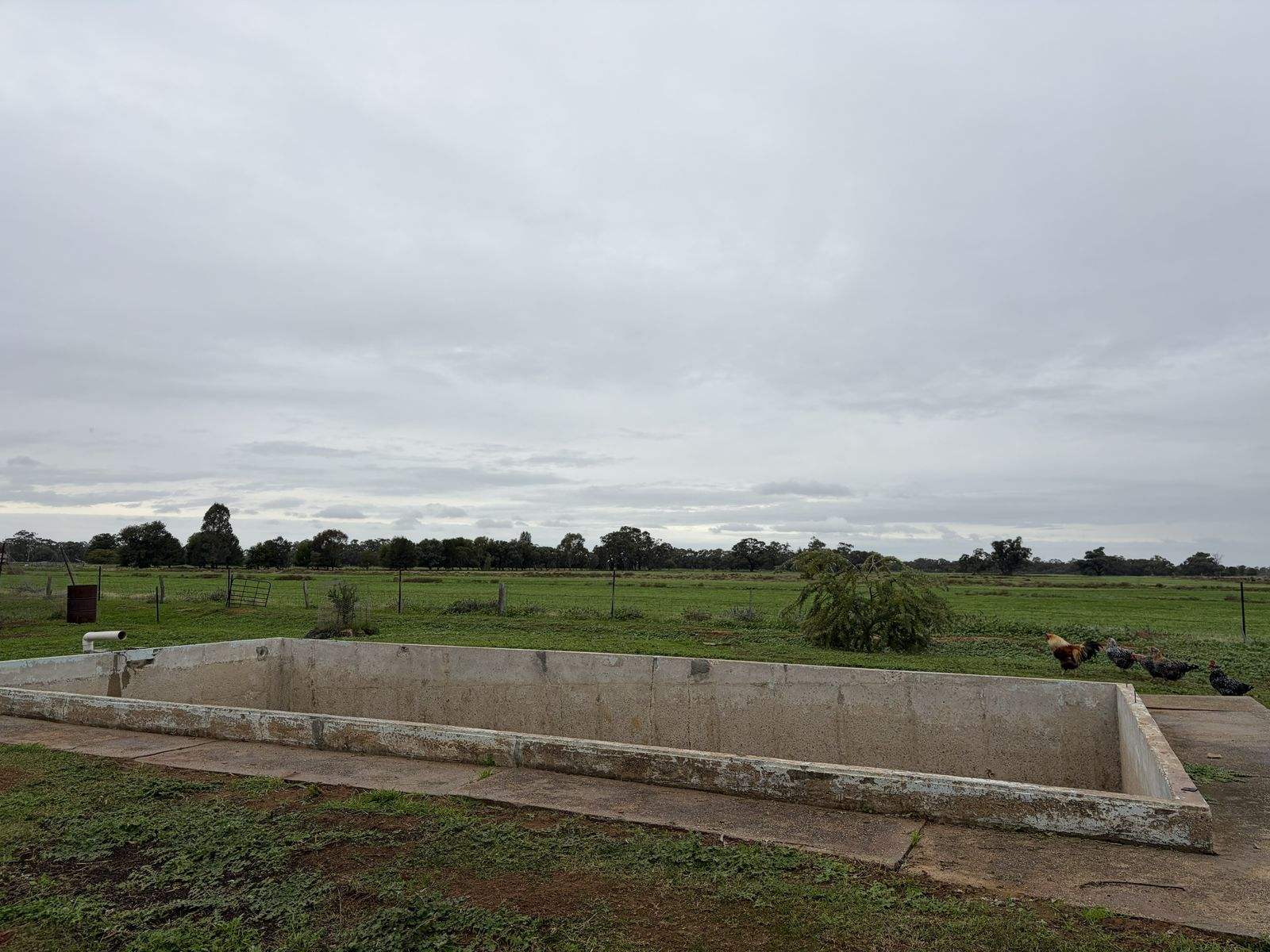 6085 Wakool Road, Wakool For Sale by Farmbuy.com - image 28