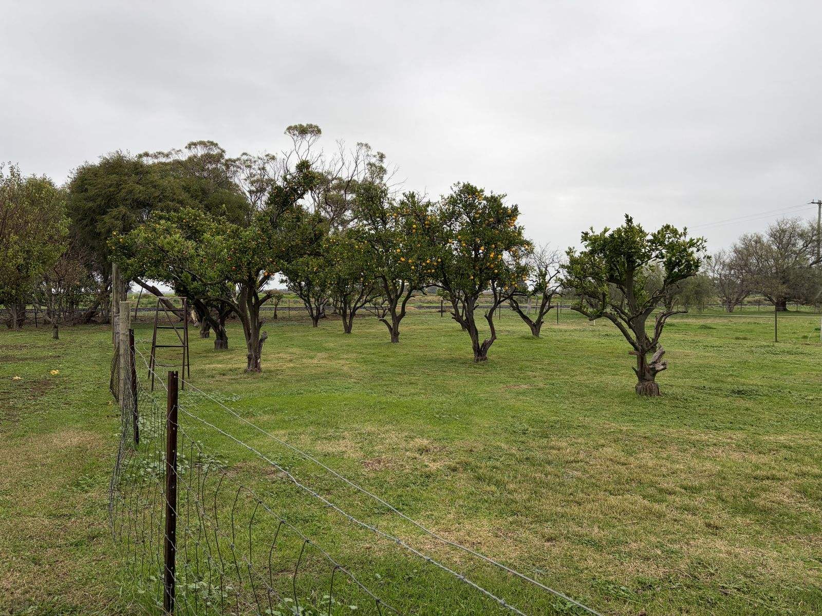 6085 Wakool Road, Wakool For Sale by Farmbuy.com - image 35