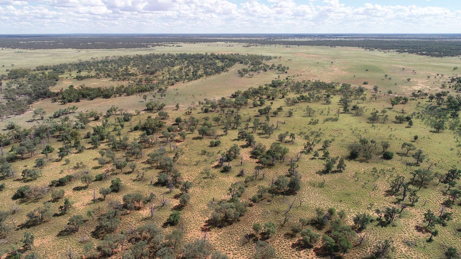 Warrego Butchery & Grazing, Cunnamulla For Sale by Farmbuy.com - image 19