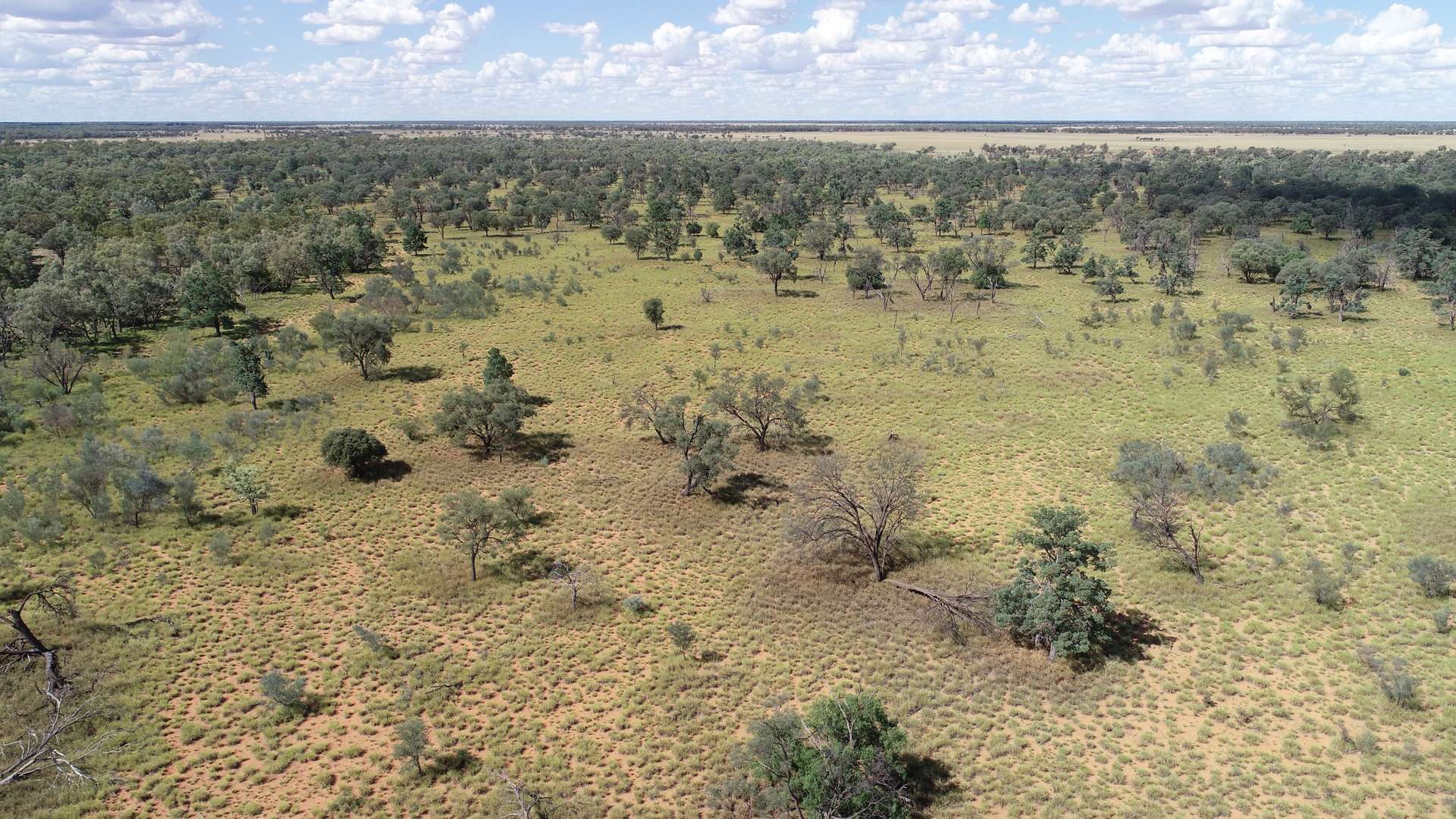 Warrego Butchery & Grazing, Cunnamulla For Sale by Farmbuy.com - image 17