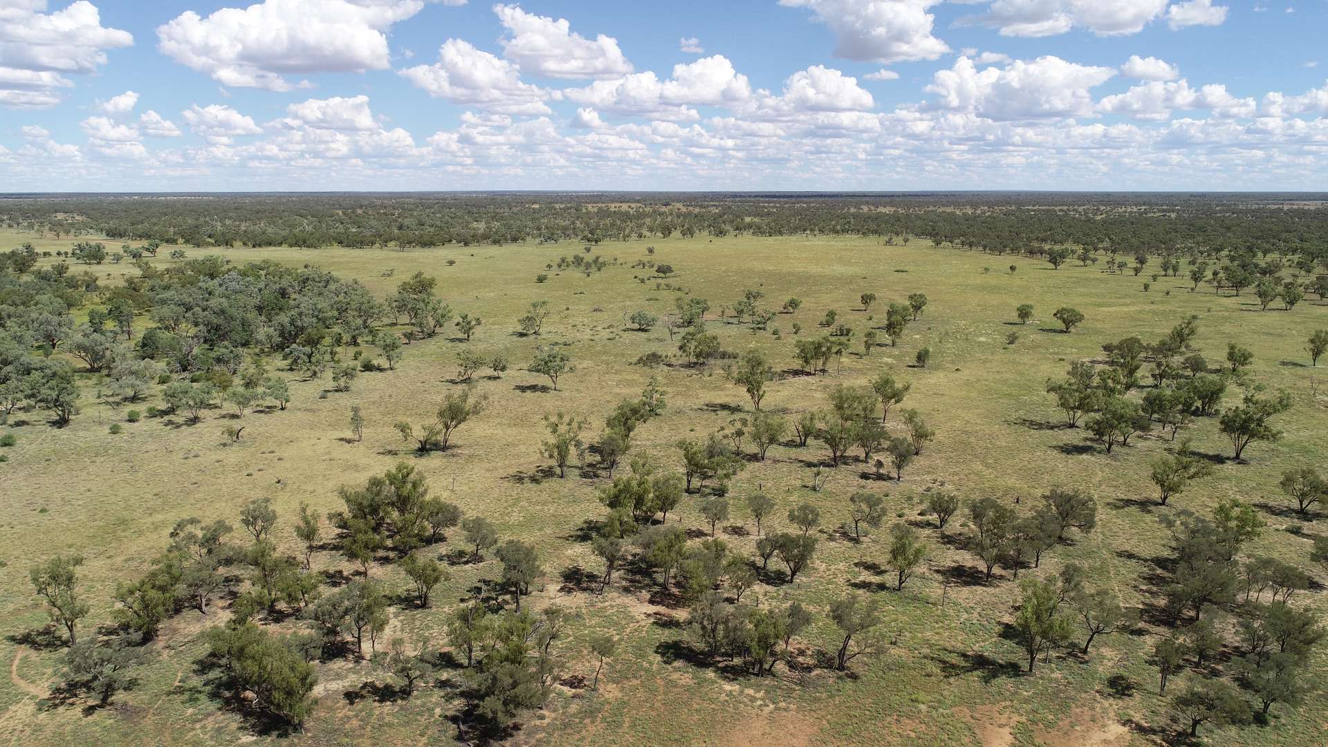 Warrego Butchery & Grazing, Cunnamulla For Sale by Farmbuy.com - image 13
