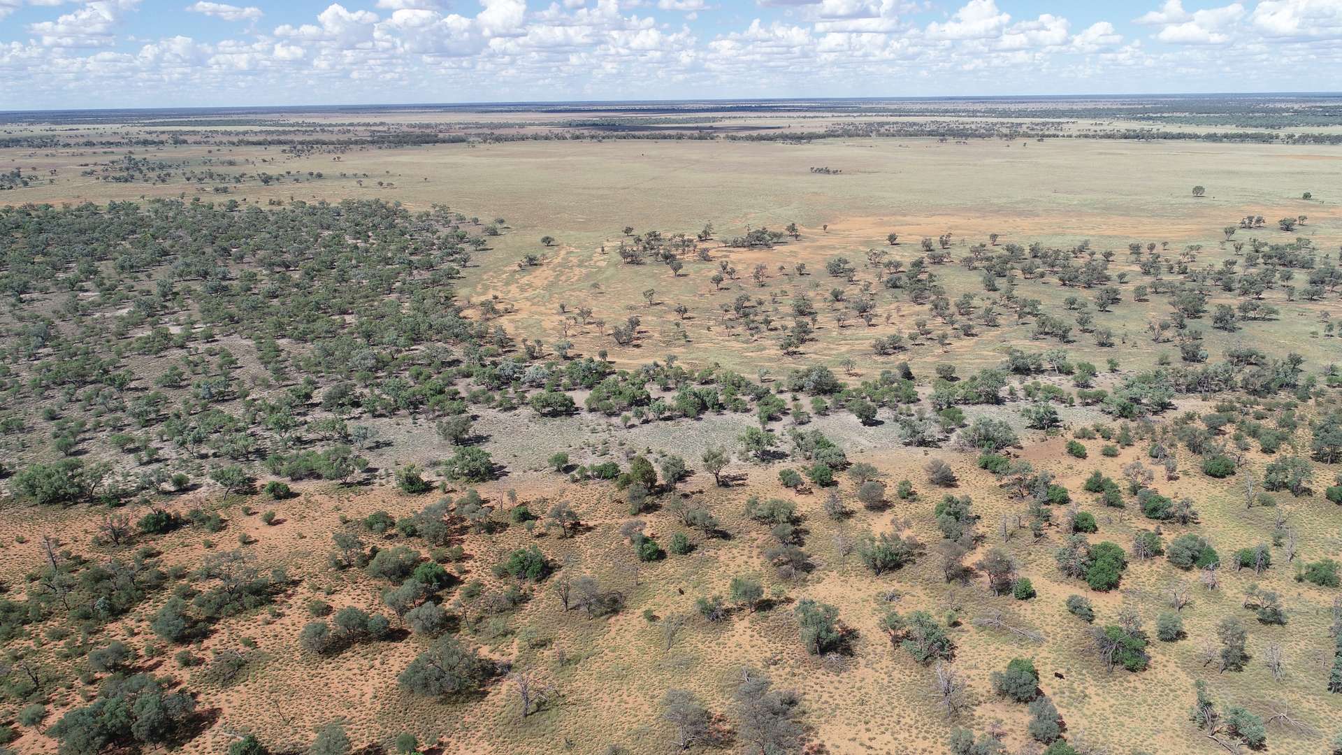 Warrego Butchery & Grazing, Cunnamulla For Sale by Farmbuy.com - image 18
