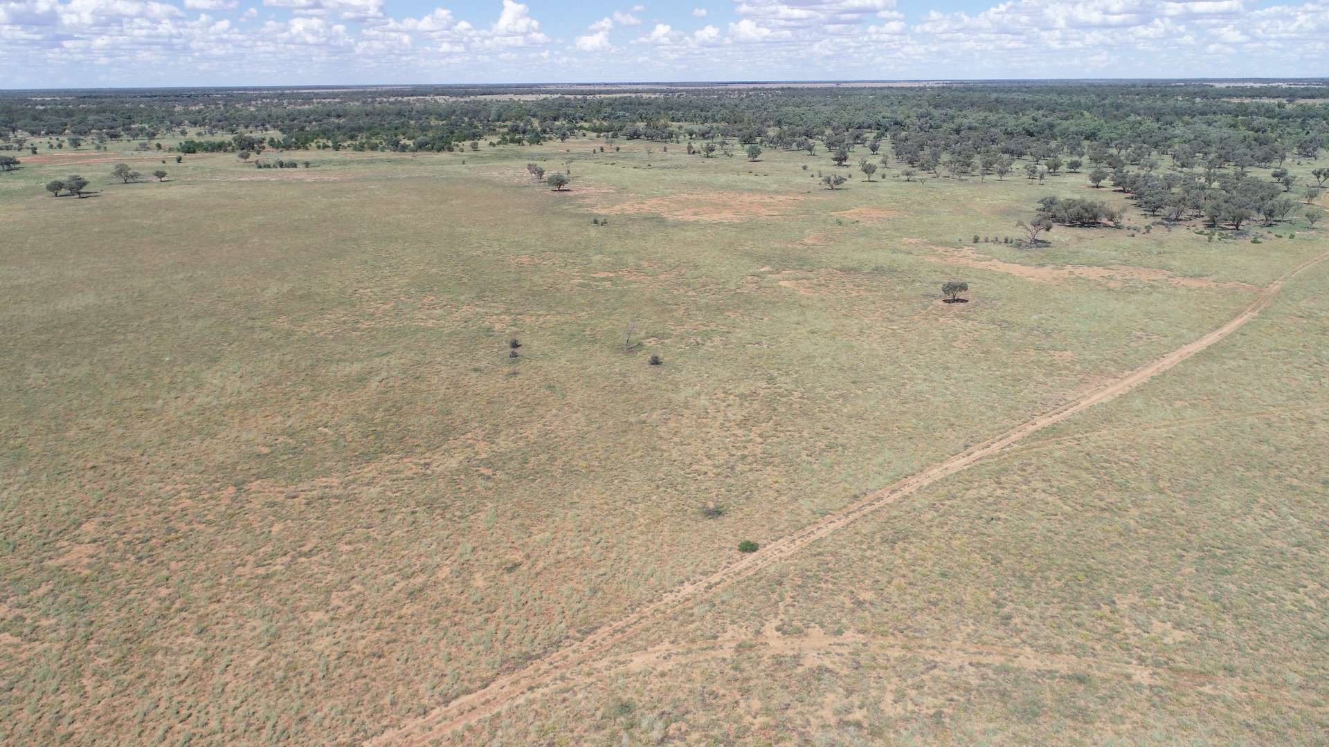 Warrego Butchery & Grazing, Cunnamulla For Sale by Farmbuy.com - image 21