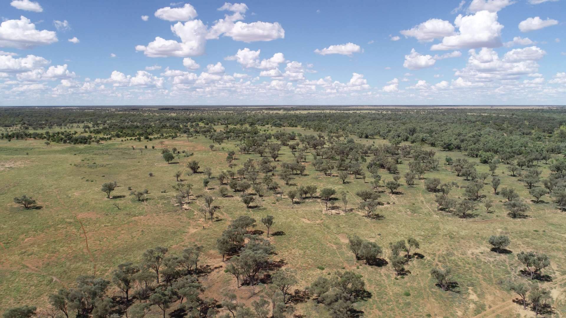 Warrego Butchery & Grazing, Cunnamulla For Sale by Farmbuy.com - image 12