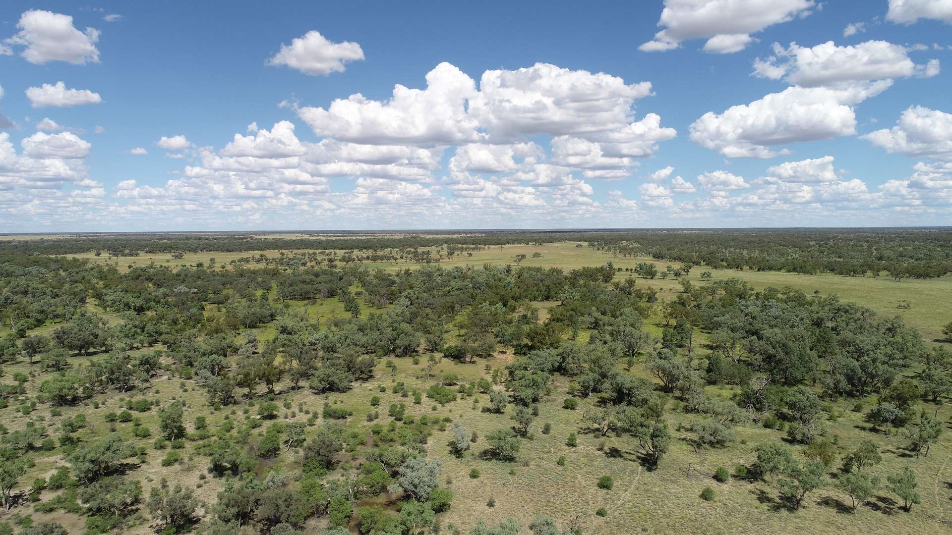 Warrego Butchery & Grazing, Cunnamulla For Sale by Farmbuy.com - image 14