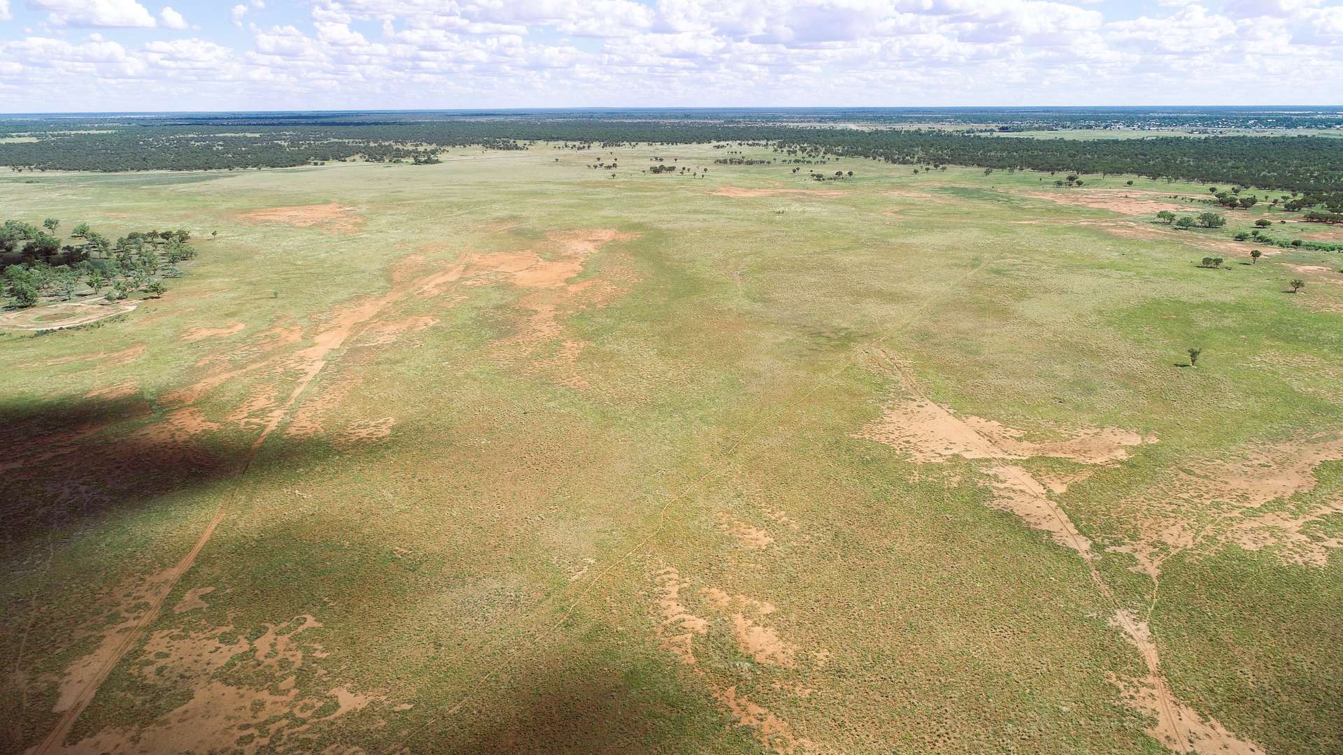Warrego Butchery & Grazing, Cunnamulla For Sale by Farmbuy.com - image 27