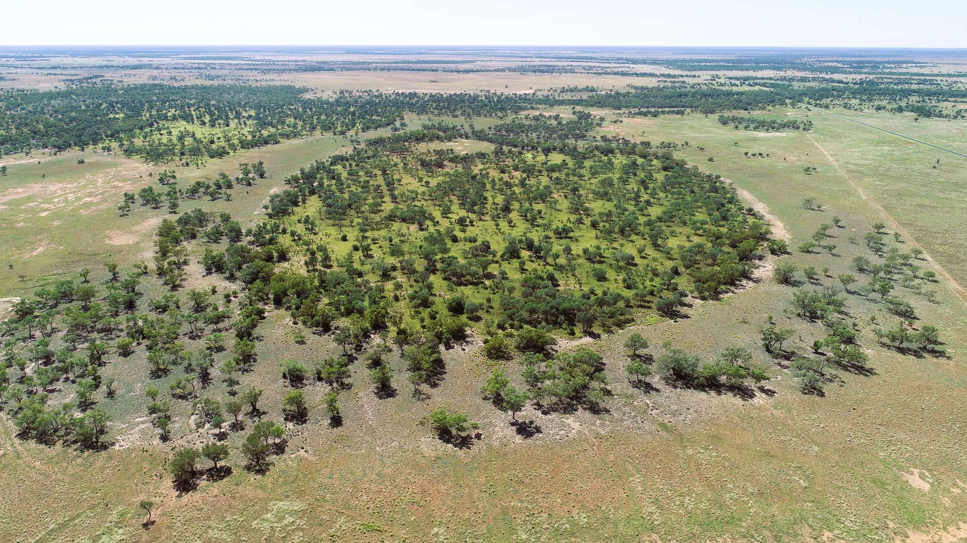 Warrego Butchery & Grazing, Cunnamulla For Sale by Farmbuy.com - image 25