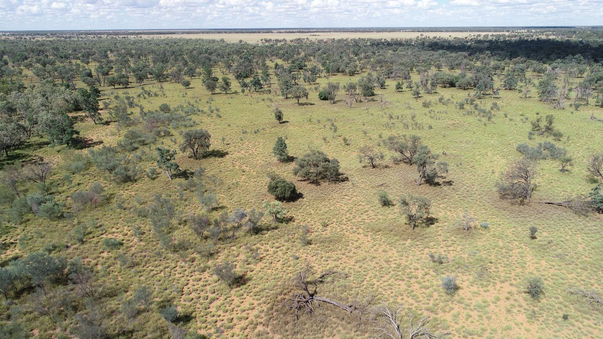 Warrego Butchery & Grazing, Cunnamulla For Sale by Farmbuy.com - image 16