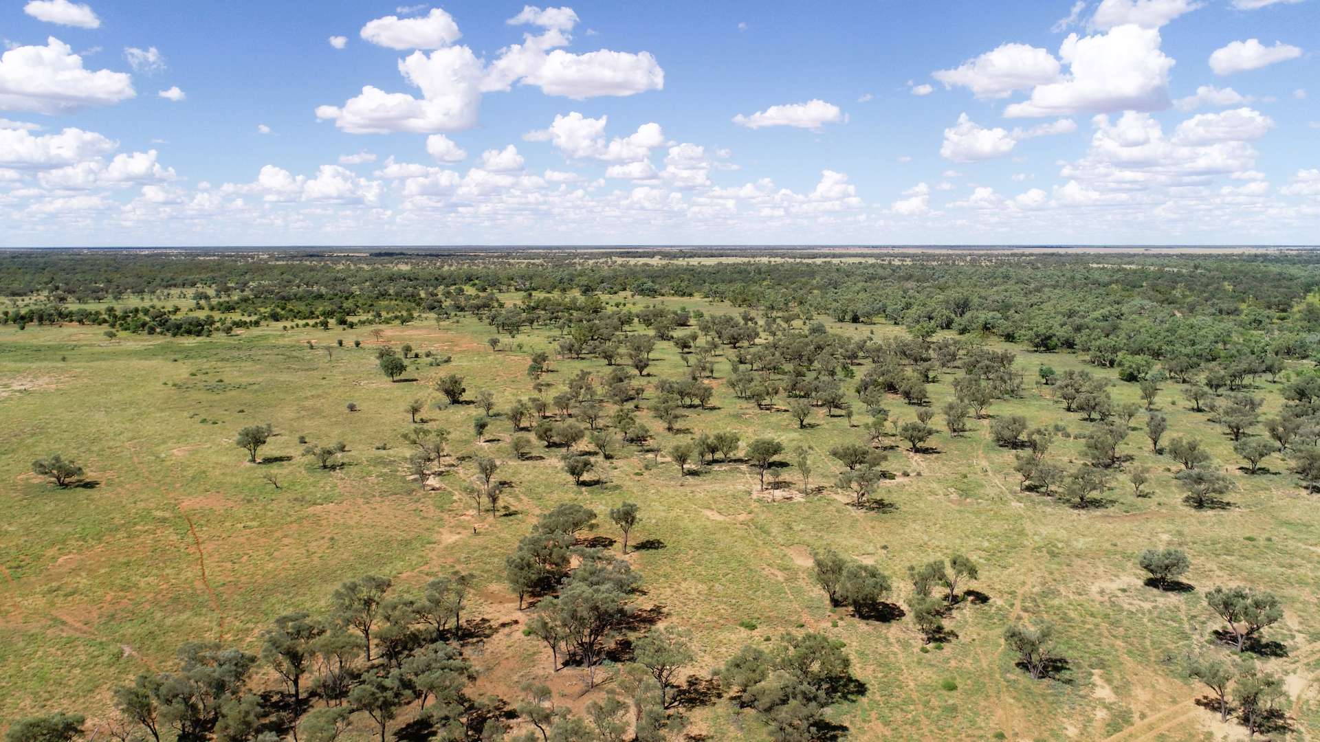 Warrego Butchery & Grazing, Cunnamulla For Sale by Farmbuy.com - image 2