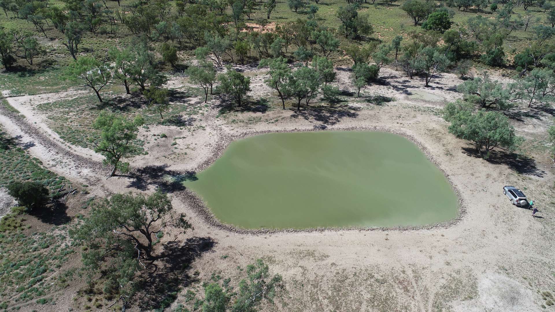 Warrego Butchery & Grazing, Cunnamulla For Sale by Farmbuy.com - image 15