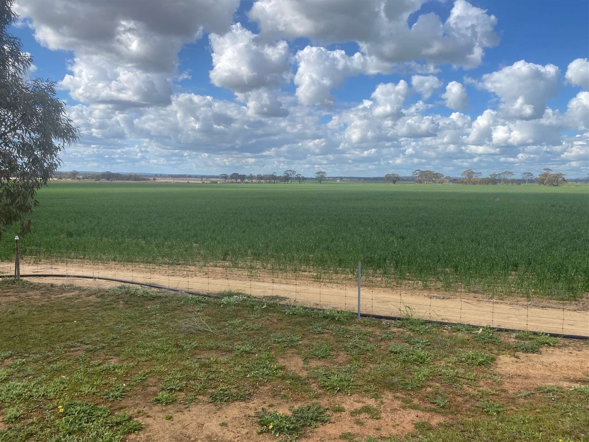 1781 Old Beverley Road, Dangin For Sale by Farmbuy.com - image 1