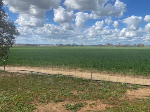 Farm For Sale - WA - Dangin - 6383 - Lake Yenyenninning Farm 