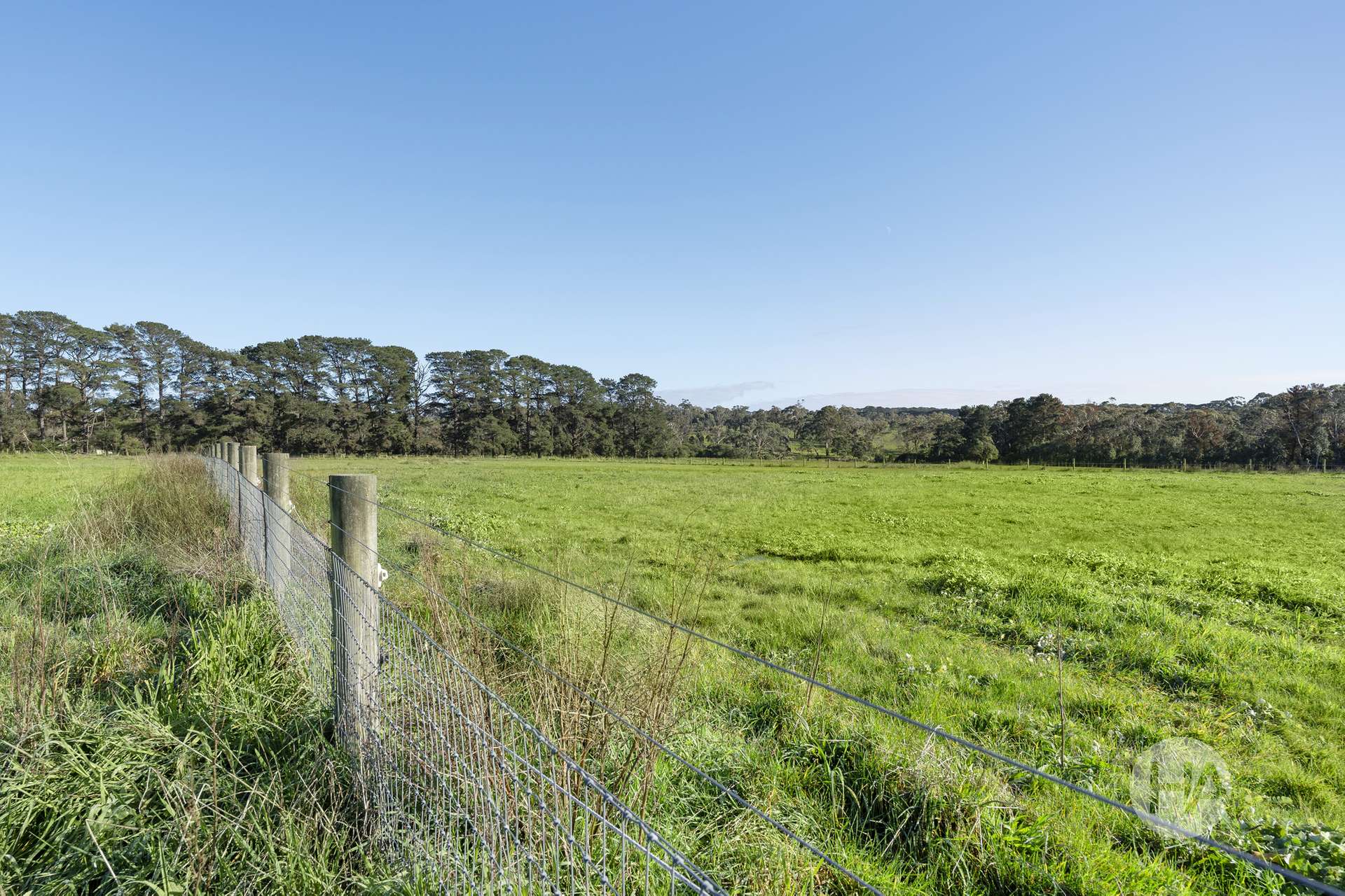 8 Wonderland Avenue, Tuerong For Sale by Farmbuy.com - image 8