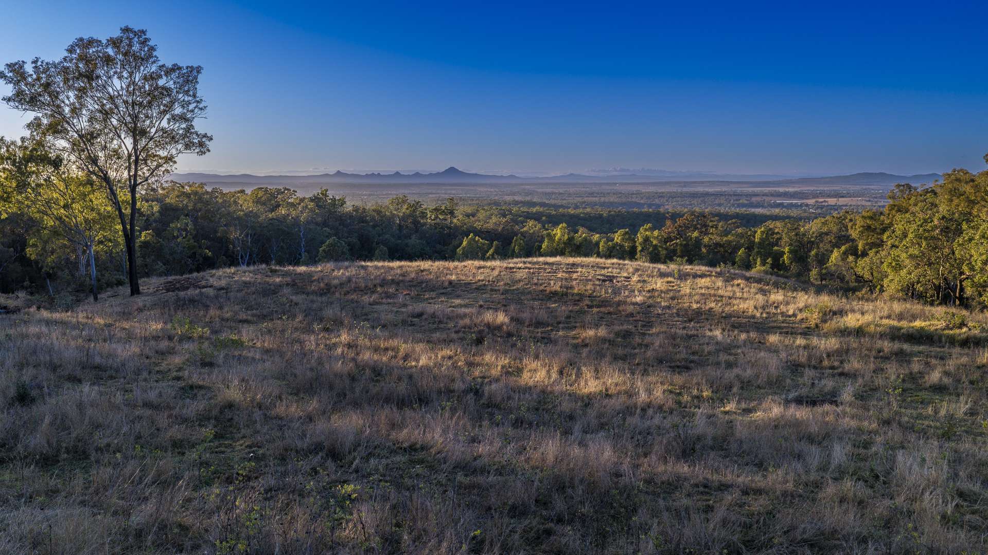 Calvert For Sale by Farmbuy.com - image 1