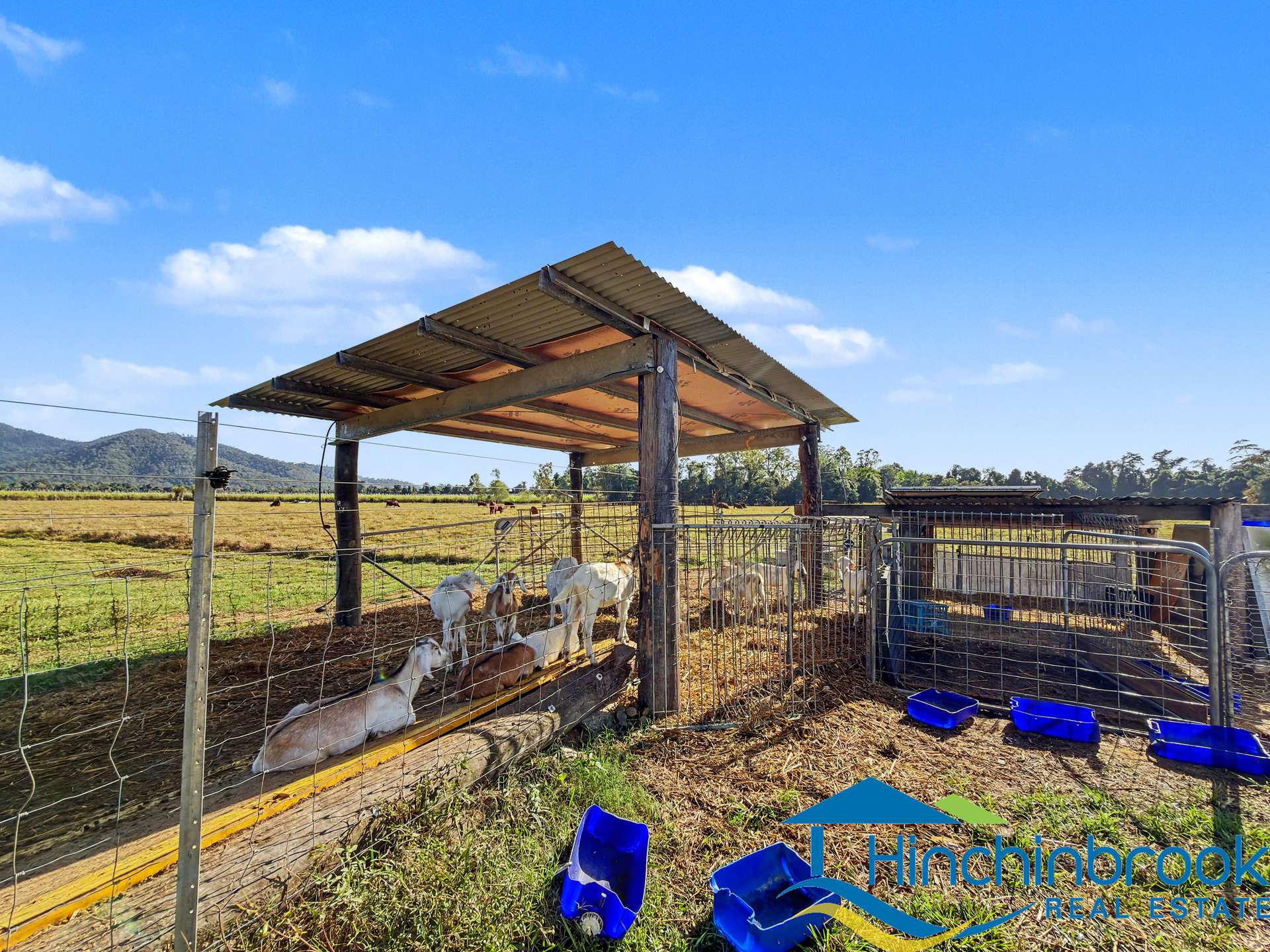 66 Hamilton Road, Cardwell For Sale by Farmbuy.com - image 10