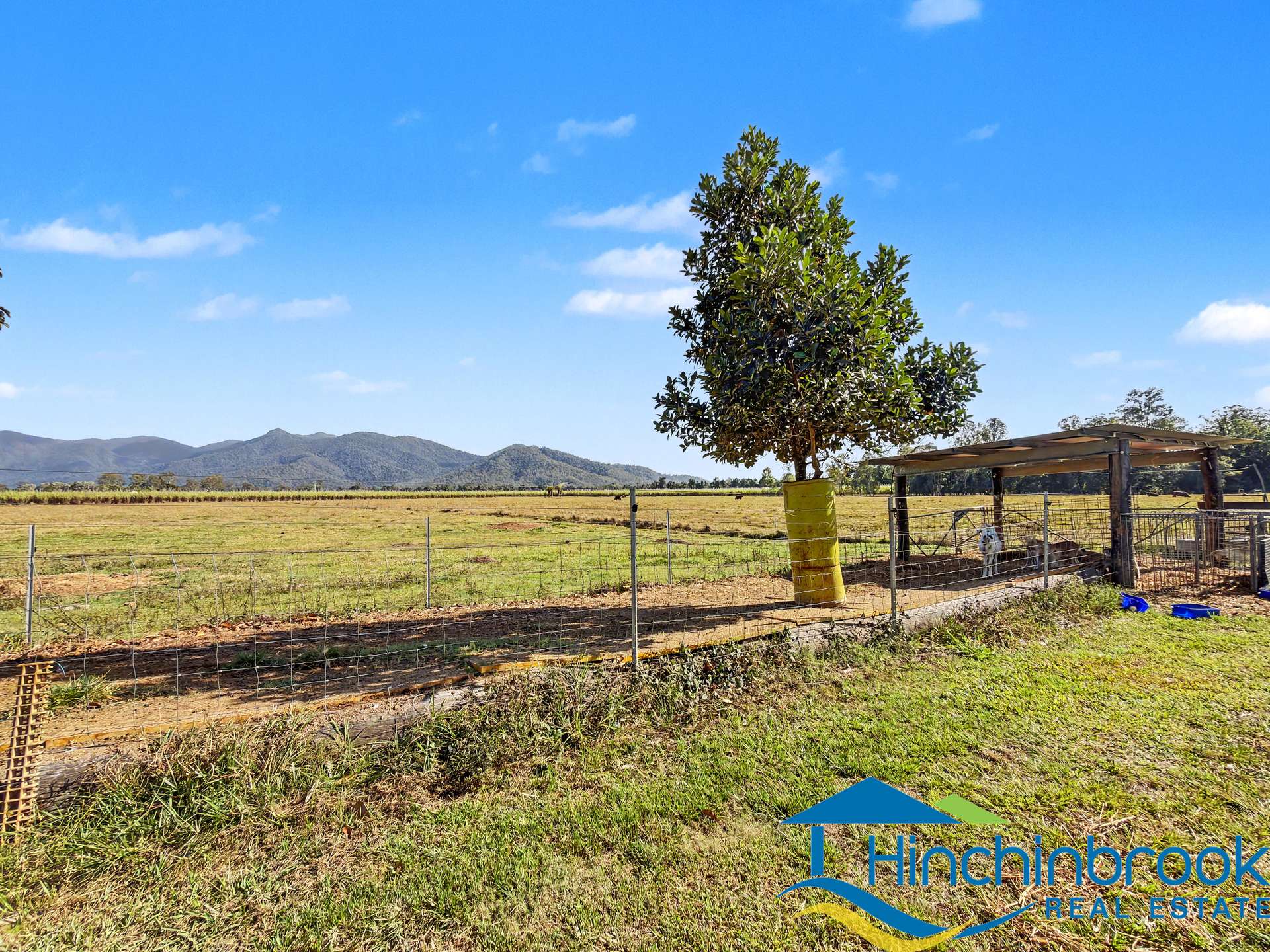 66 Hamilton Road, Cardwell For Sale by Farmbuy.com - image 9