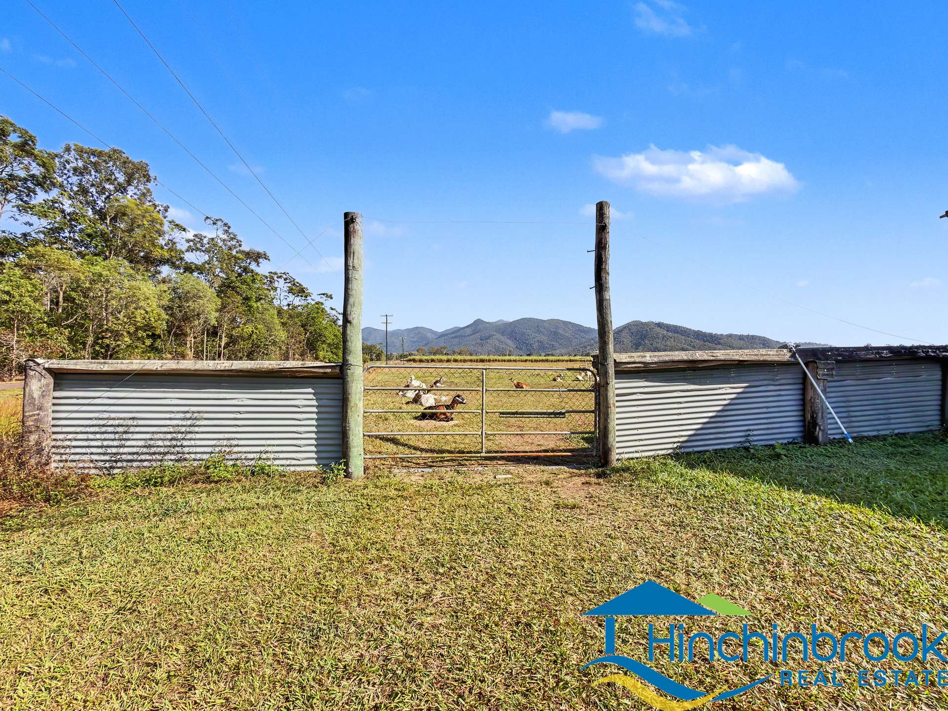 66 Hamilton Road, Cardwell For Sale by Farmbuy.com - image 6