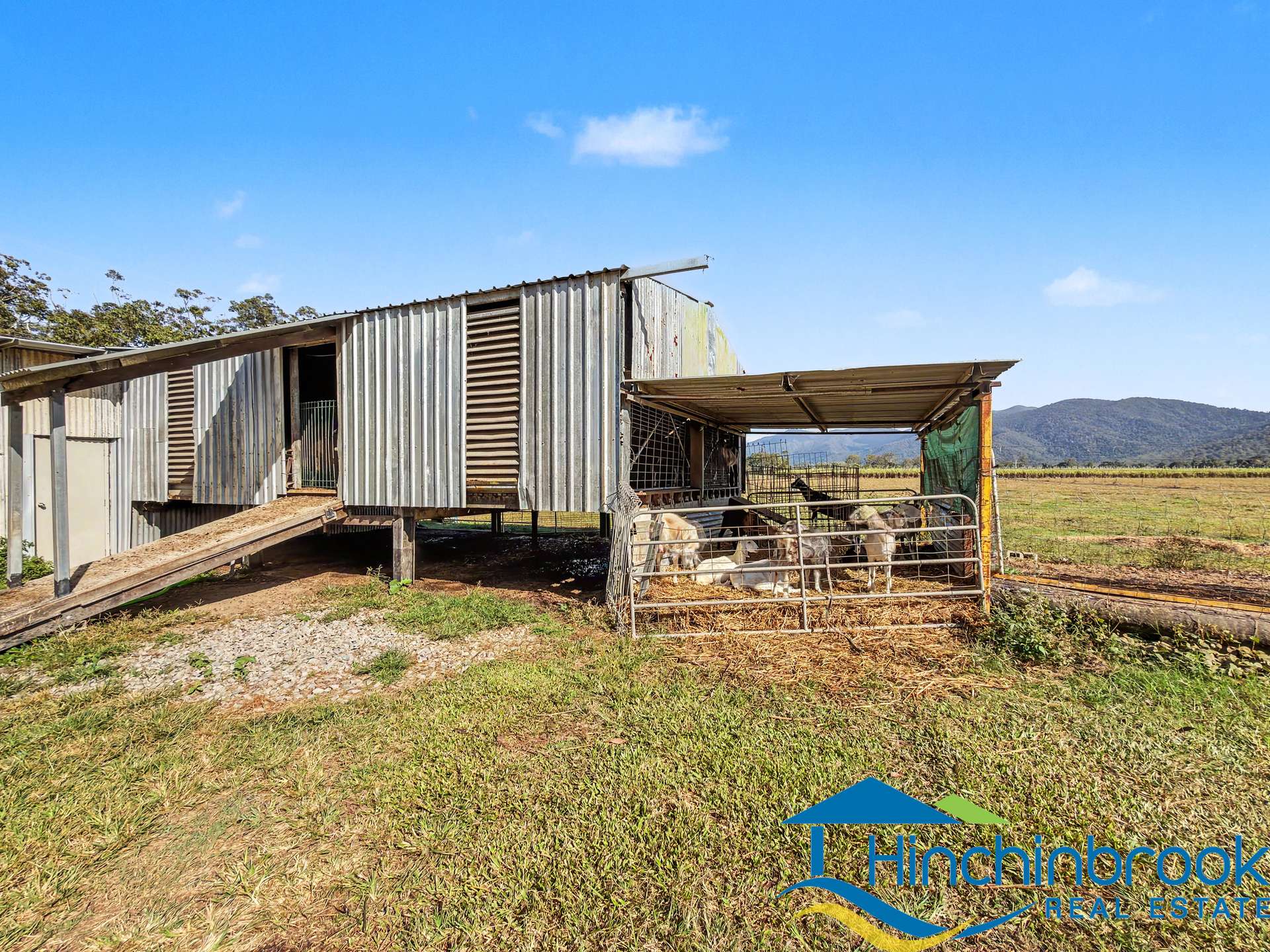 66 Hamilton Road, Cardwell For Sale by Farmbuy.com - image 5