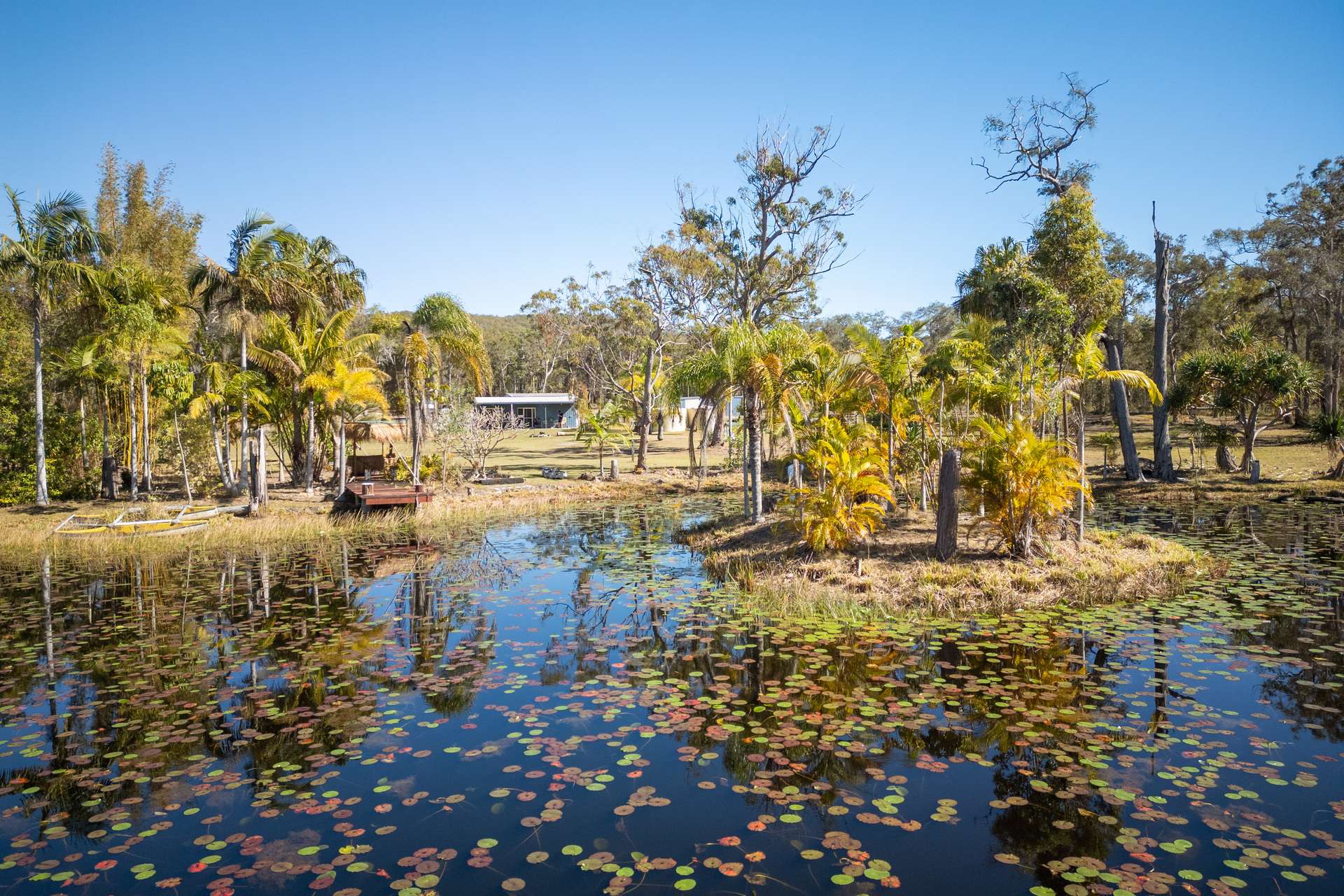 328 Baldaw Road, Captain Creek For Sale by Farmbuy.com - image 16