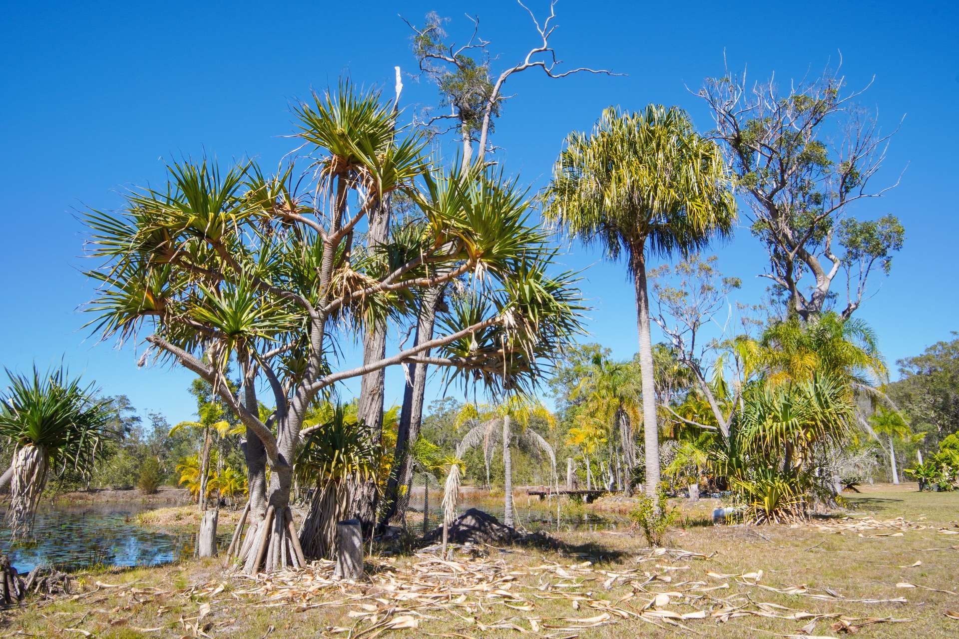 328 Baldaw Road, Captain Creek For Sale by Farmbuy.com - image 18