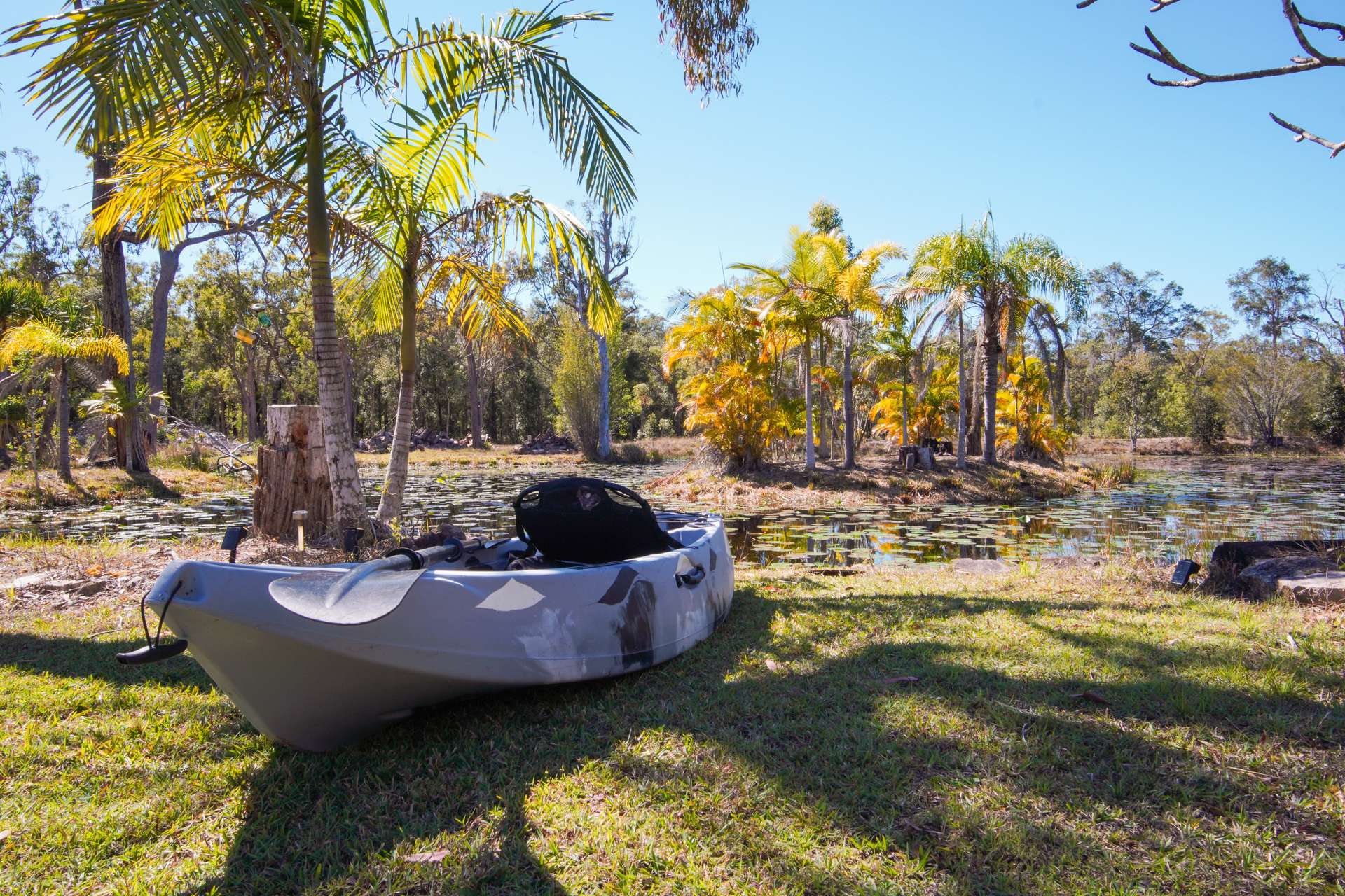 328 Baldaw Road, Captain Creek For Sale by Farmbuy.com - image 10
