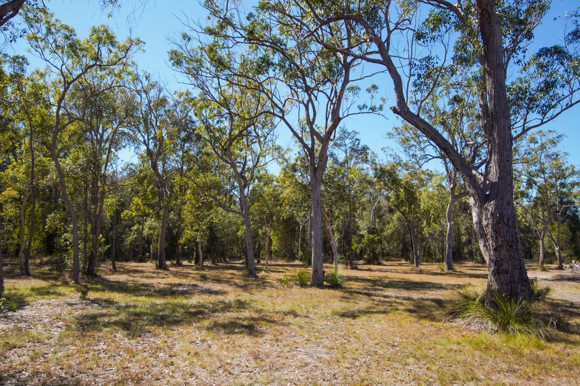 328 Baldaw Road, Captain Creek For Sale by Farmbuy.com - image 21